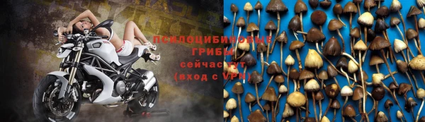 метамфетамин Богородицк